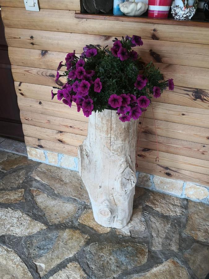 House Nada Otel Rastovača Dış mekan fotoğraf