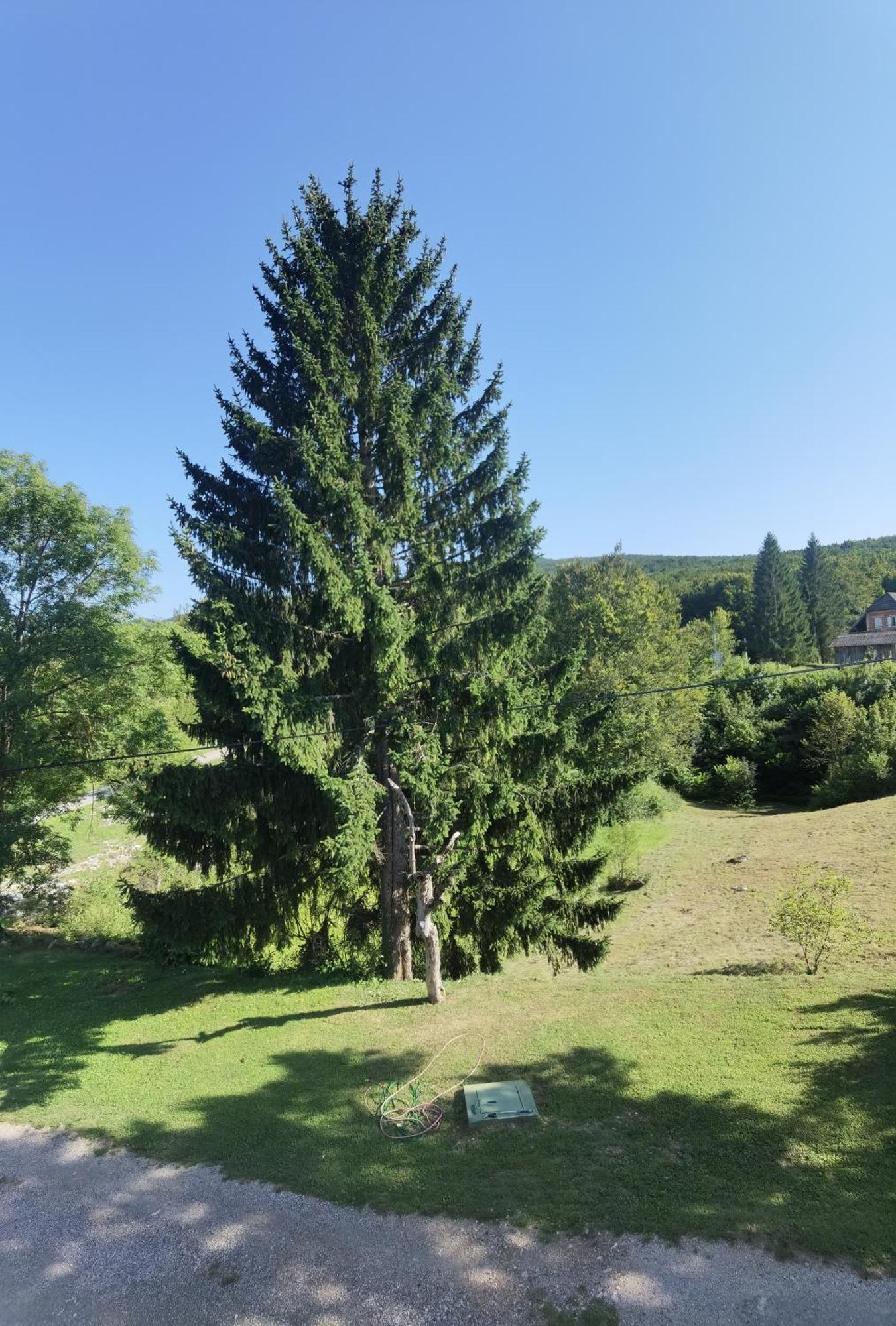 House Nada Otel Rastovača Dış mekan fotoğraf